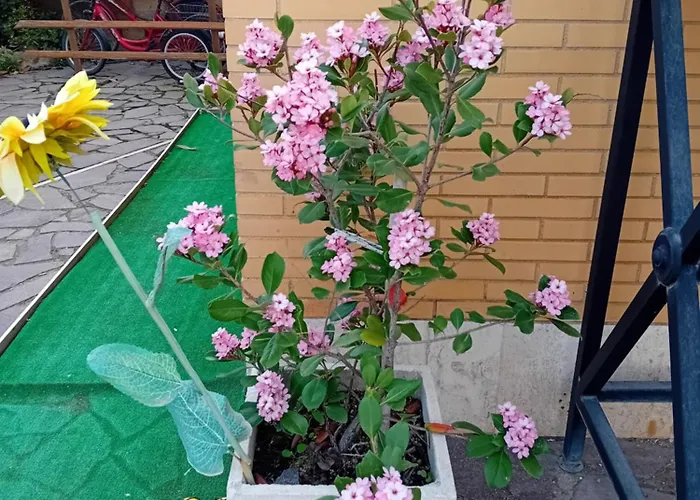 Mamita Villa